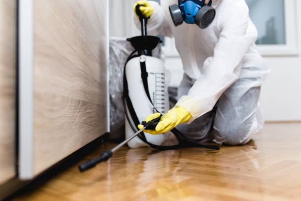 Best Ant Control Services  in Summit Park, UT