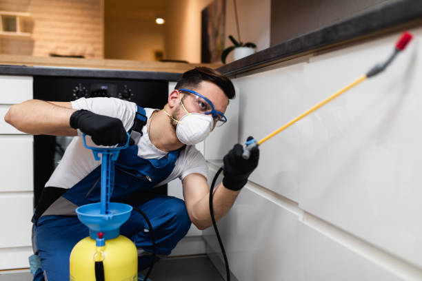 Best Pest Prevention Services  in Summit Park, UT