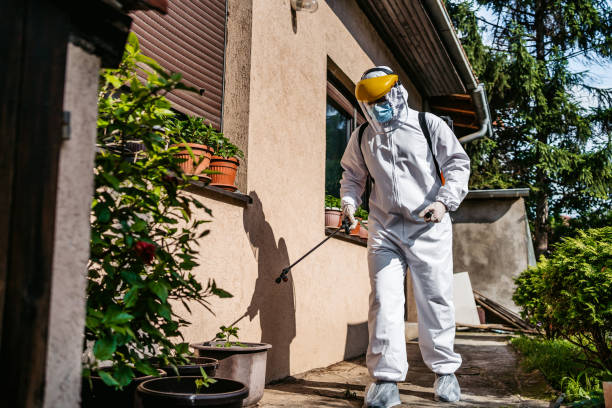 Best Mosquito Control Services  in Summit Park, UT