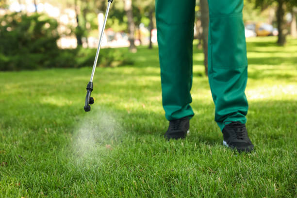 Best Affordable Pest Control Services  in Summit Park, UT