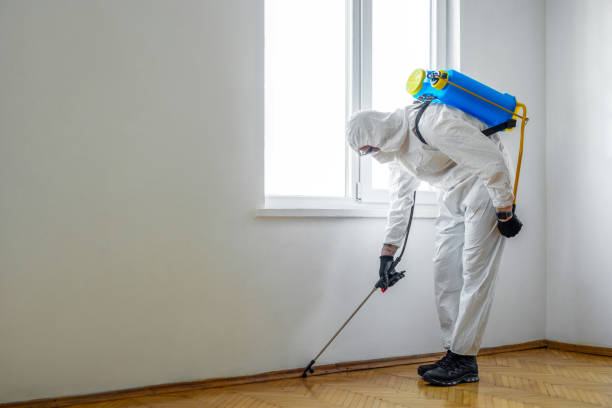 Best Termite Control Services  in Summit Park, UT