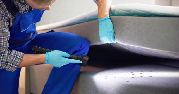 Best Termite Control Services  in Summit Park, UT