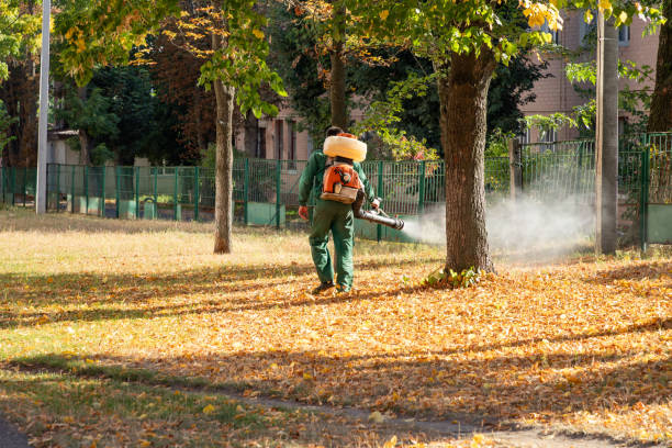 Best Affordable Pest Control Services  in Summit Park, UT